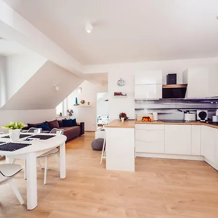 Blue Point 406 Premium * 코워브제크