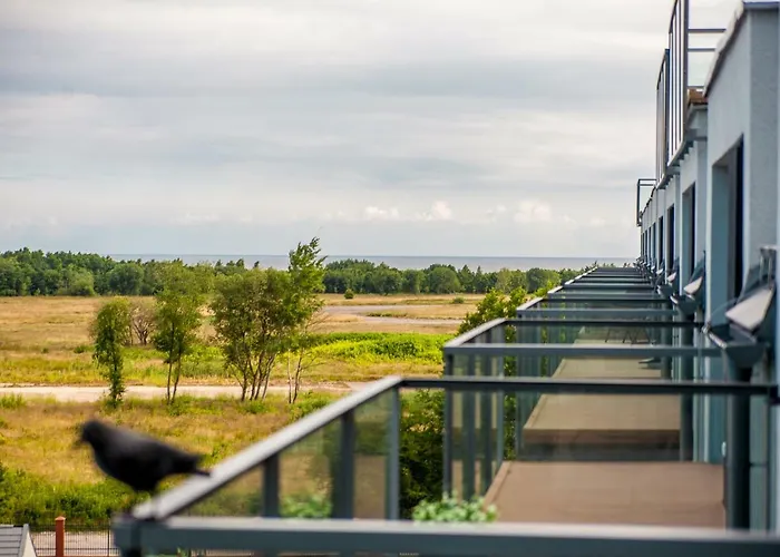 Daire Blue Point 406 Premium